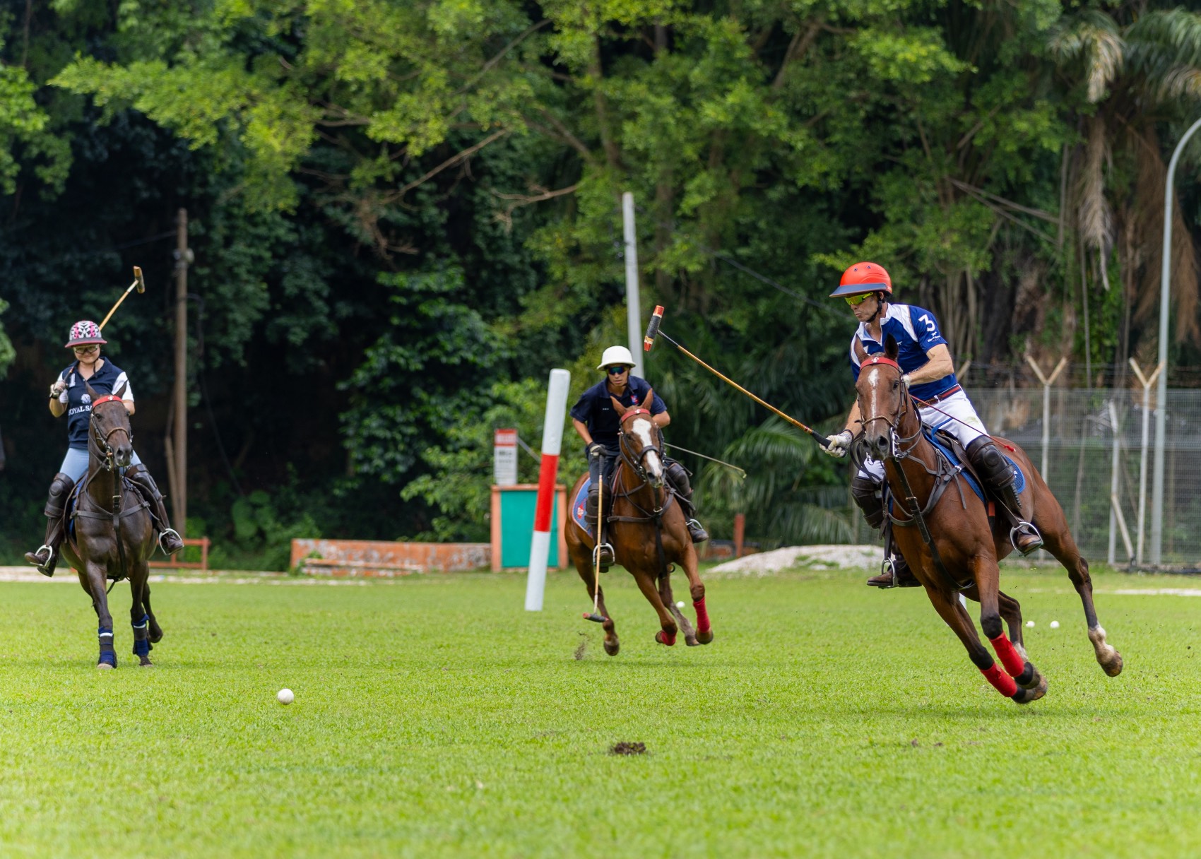 royal salute rio de janeiro polo edition